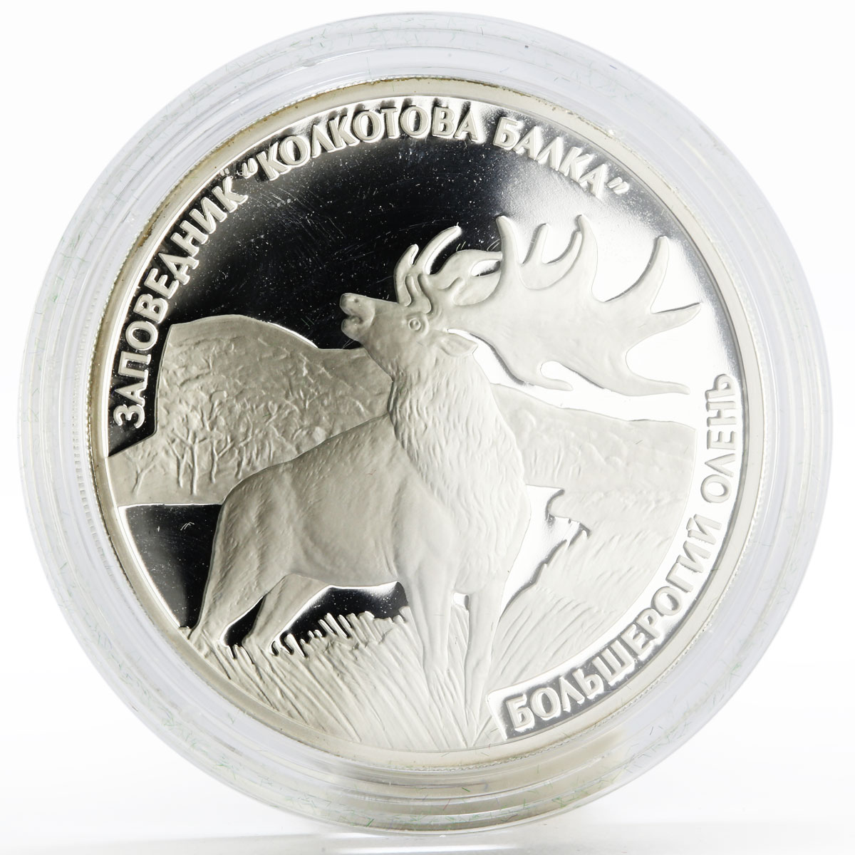 Transnistria 5 rubles Kolkotov Reserve Big Deer Animals Fauna silver coin 2007