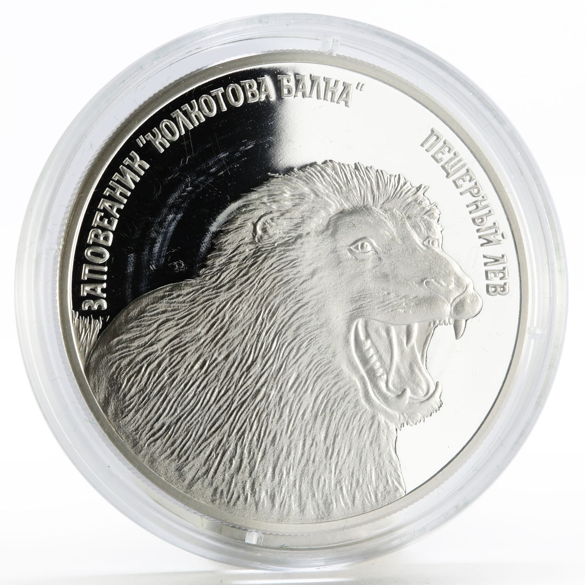 Transnistria 5 rubles Kolkotov Reserve Cave Lion Animals Fauna silver coin 2008