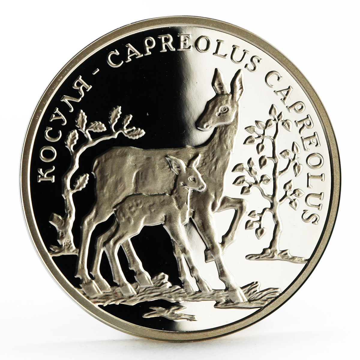 Transnistria 100 rubles Local Fauna series Adult Roe and Child Roe coin 2004