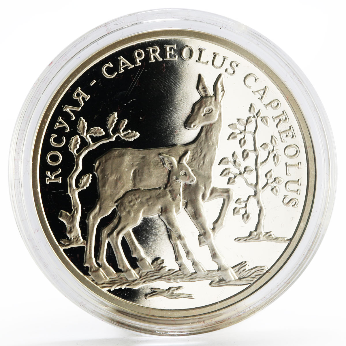 Transnistria 100 rubles Local Fauna series Adult Roe and Child Roe coin 2004