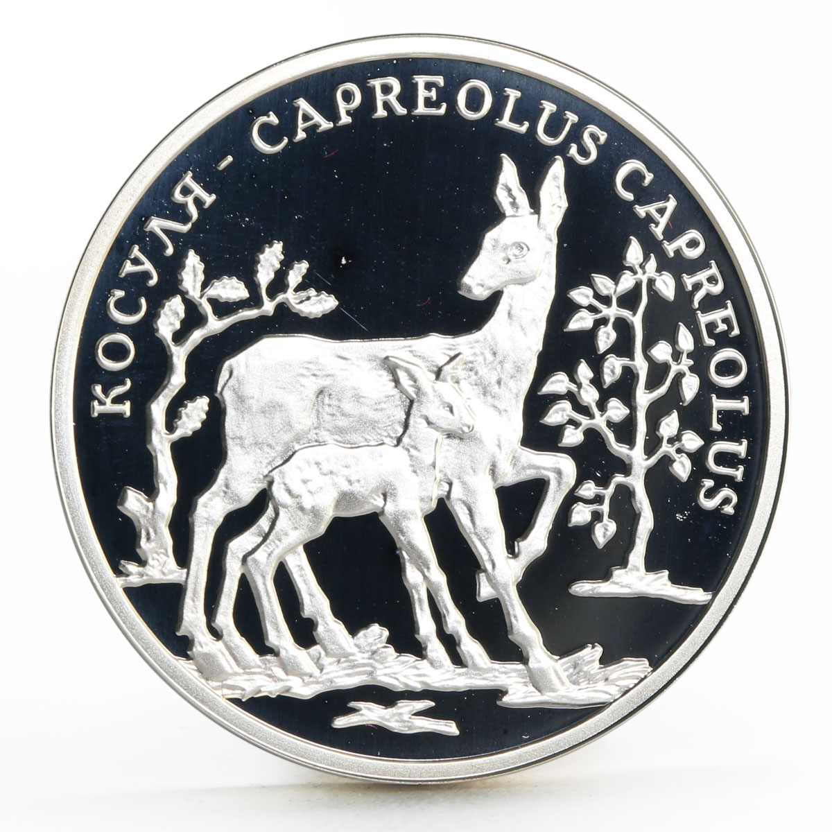 Transnistria 100 rubles Local Fauna series Adult Roe and Child Roe coin 2004
