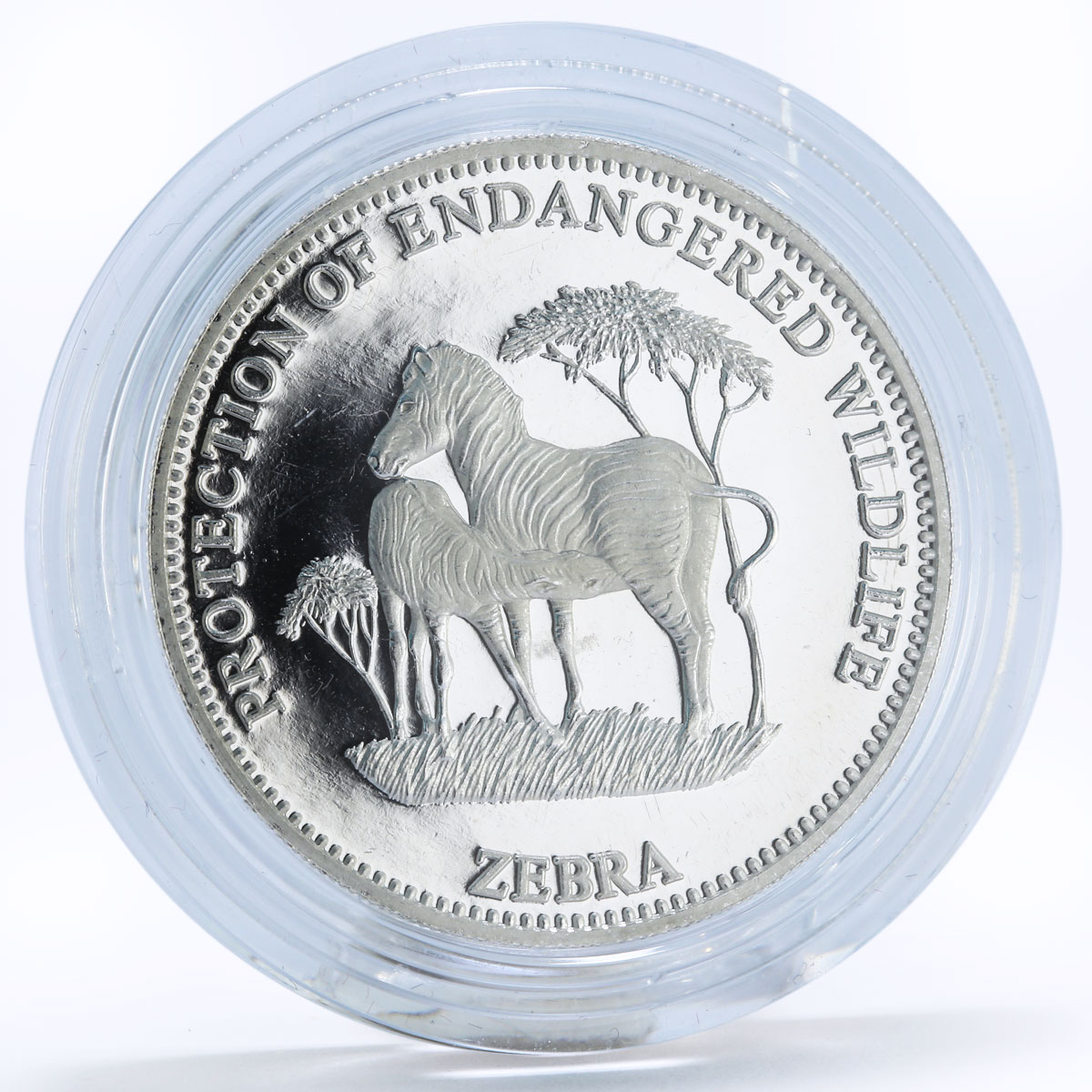 Equatorial Guinea 7000 francos Endangered Wildlife series Zebra silver coin 1993