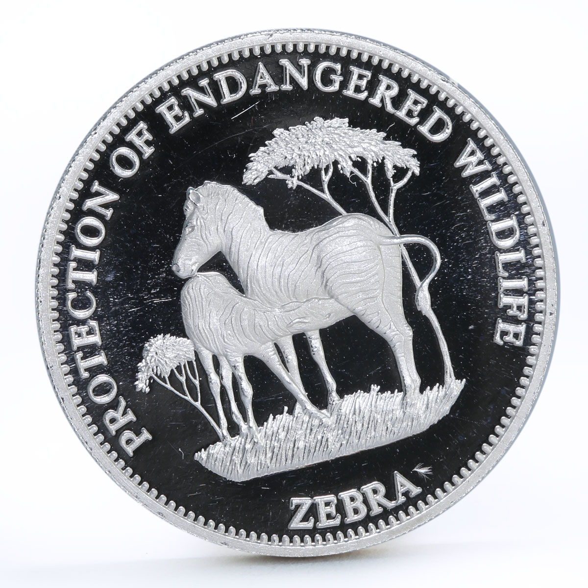 Equatorial Guinea 7000 francos Endangered Wildlife series Zebra silver coin 1993