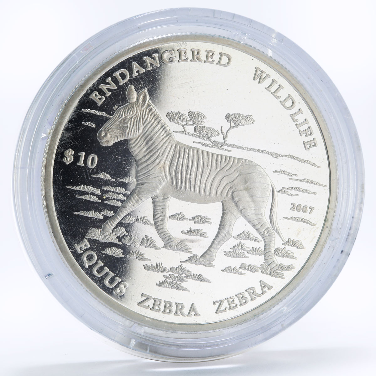 Namibia 10 dollars Endangered Wildlife series Zebra proof silver coin 2007