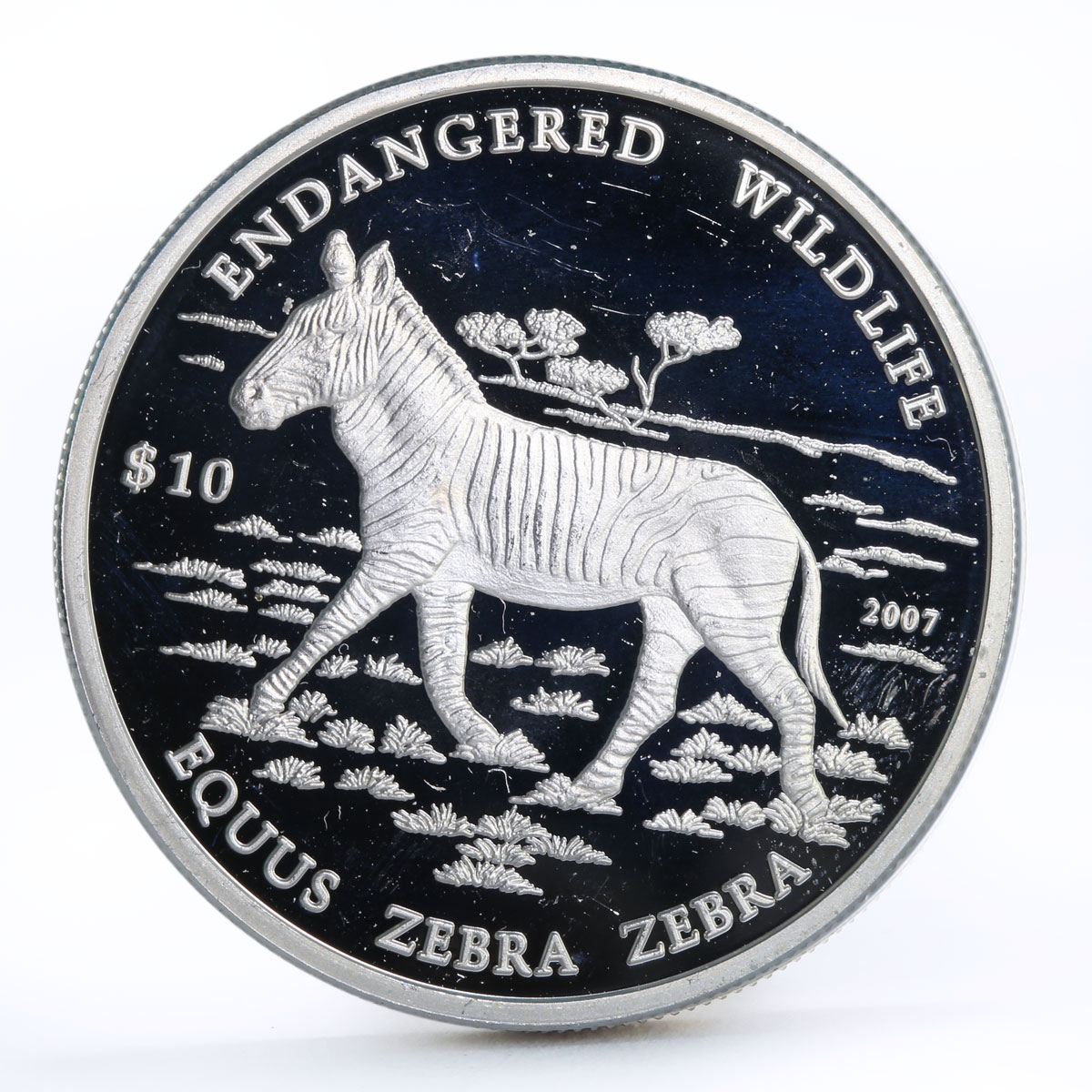 Namibia 10 dollars Endangered Wildlife series Zebra proof silver coin 2007