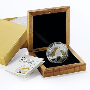 Palau 5 dollars Merry Christmas series Shooting Star gilded silver coin 2010