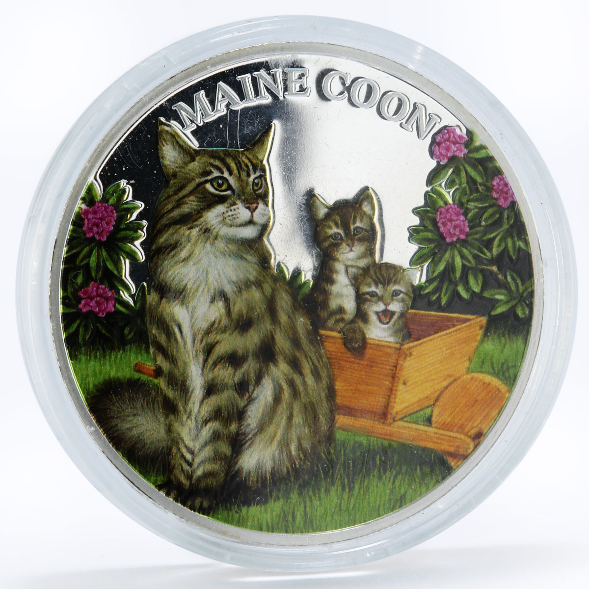 Rwanda 500 francs Cats series Maine Coon Cat Flowers colored silver coin 2011