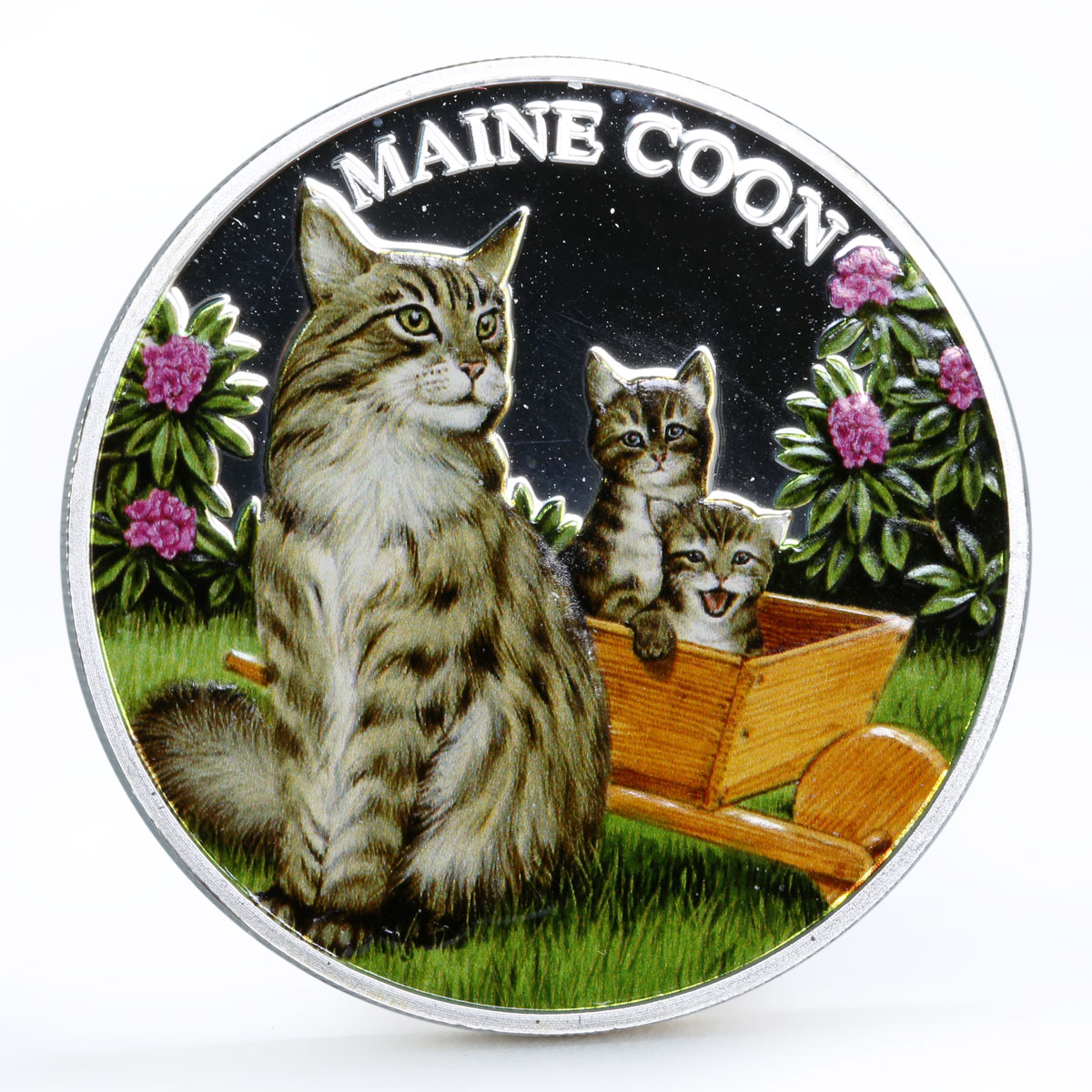 Rwanda 500 francs Cats series Maine Coon Cat Flowers colored silver coin 2011
