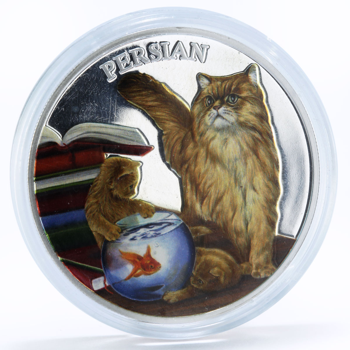 Rwanda 500 francs Cats series Persian Cat Books colored silver coin 2011