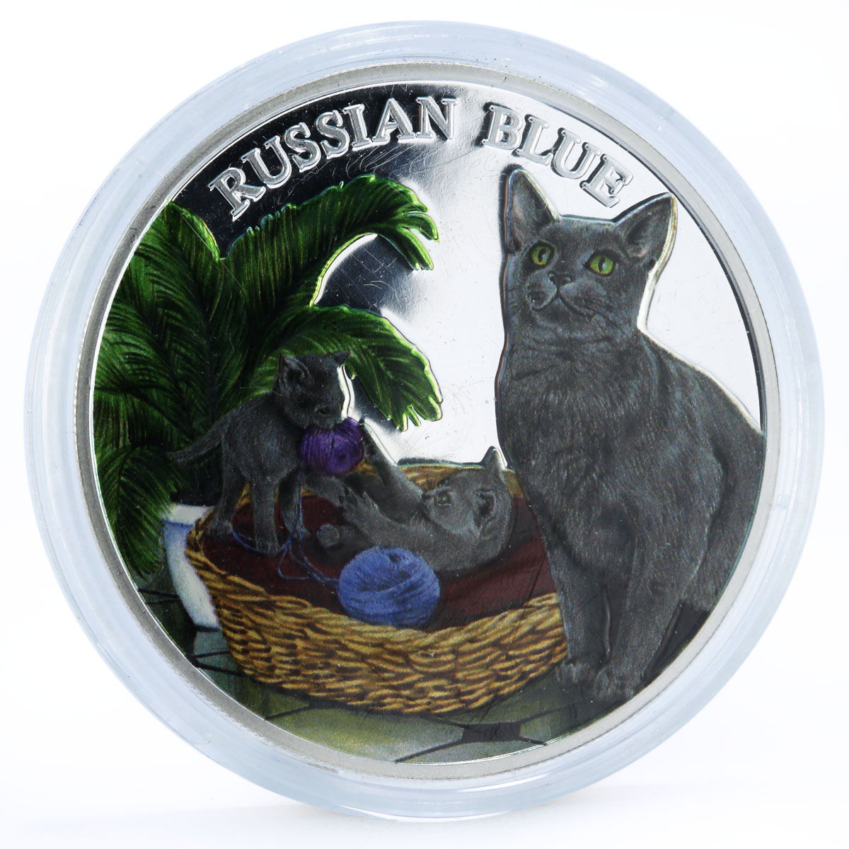 Rwanda 500 francs Cats series Russian Blue Cat Plant colored silver coin 2011