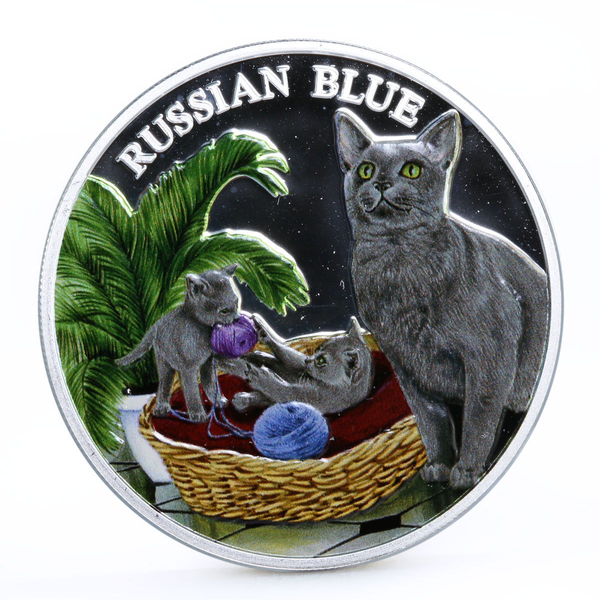 Rwanda 500 francs Cats series Russian Blue Cat Plant colored silver coin 2011
