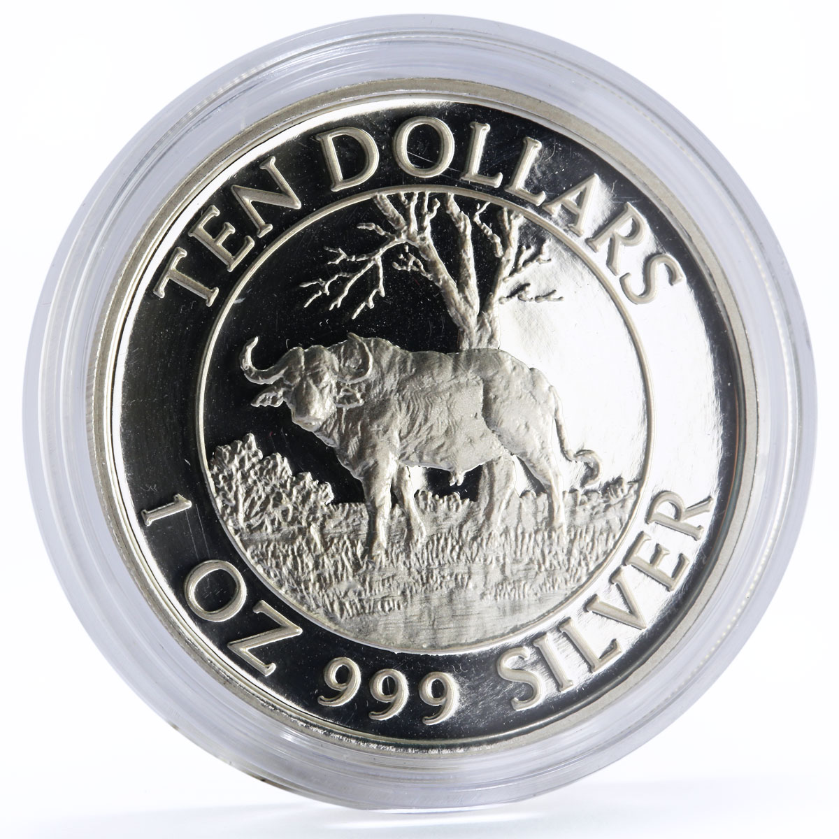 Zimbabwe 10 dollars Wildlife Landmarks series Motopo Hills Bull silver coin 1996