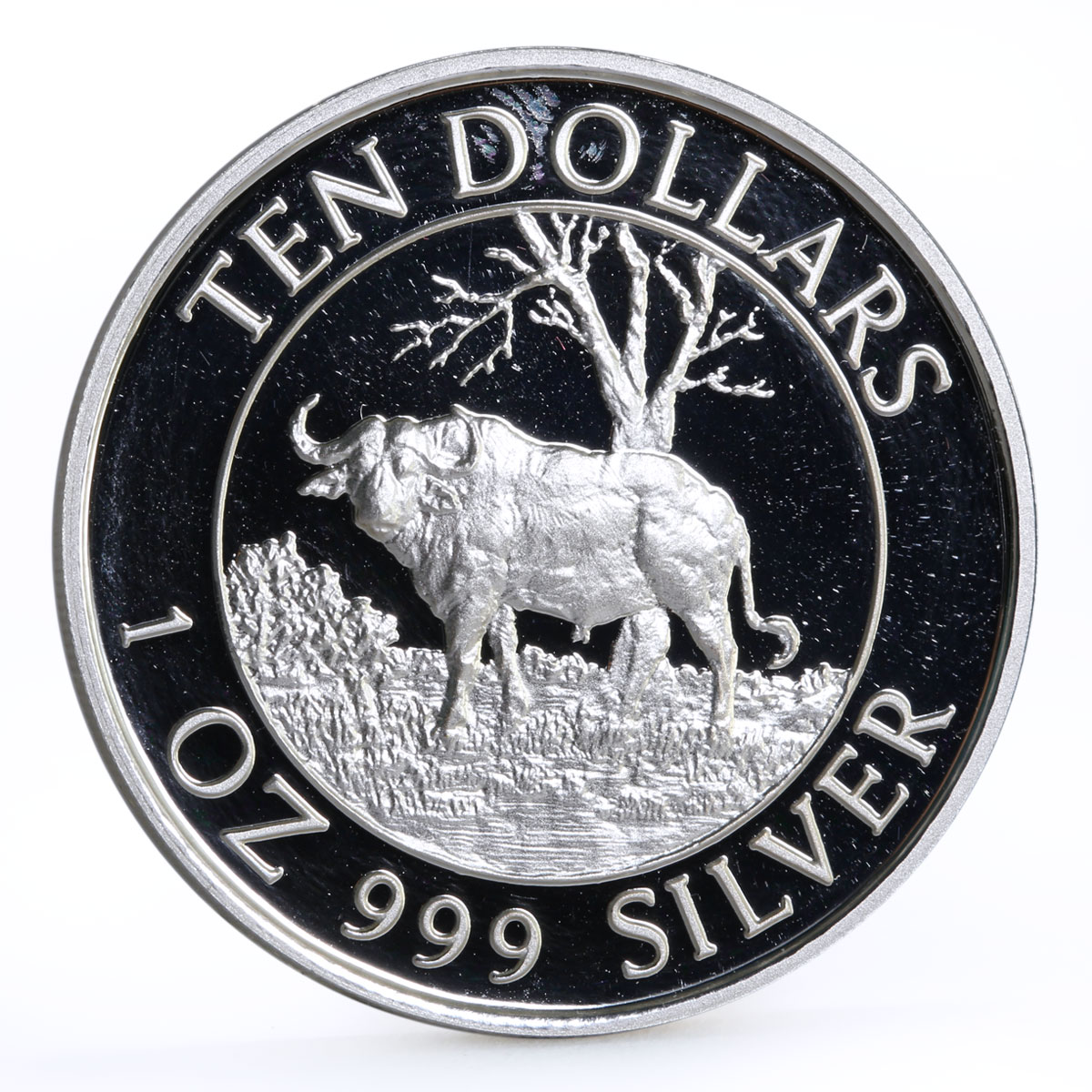 Zimbabwe 10 dollars Wildlife Landmarks series Motopo Hills Bull silver coin 1996