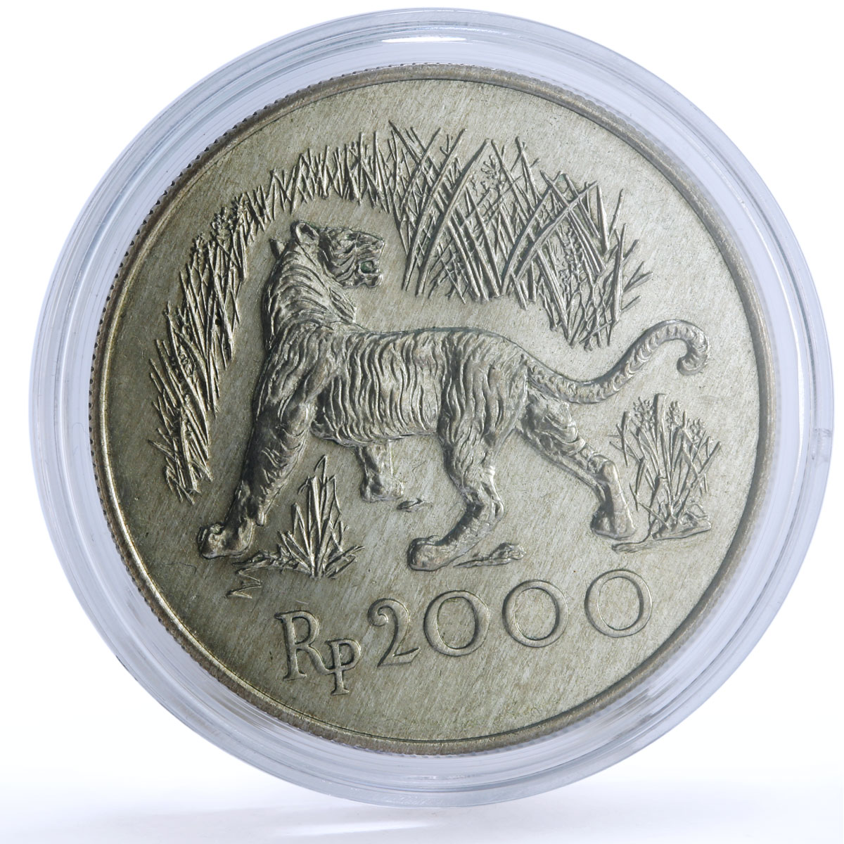 Indonesia 2000 rupiah Conservation Wildife Javan Tiger Fauna silver coin 1974