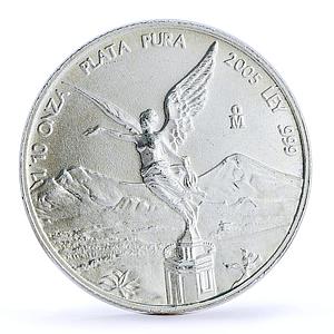 Mexico 1/10 onza Libertad Angel of Independence silver coin 2005