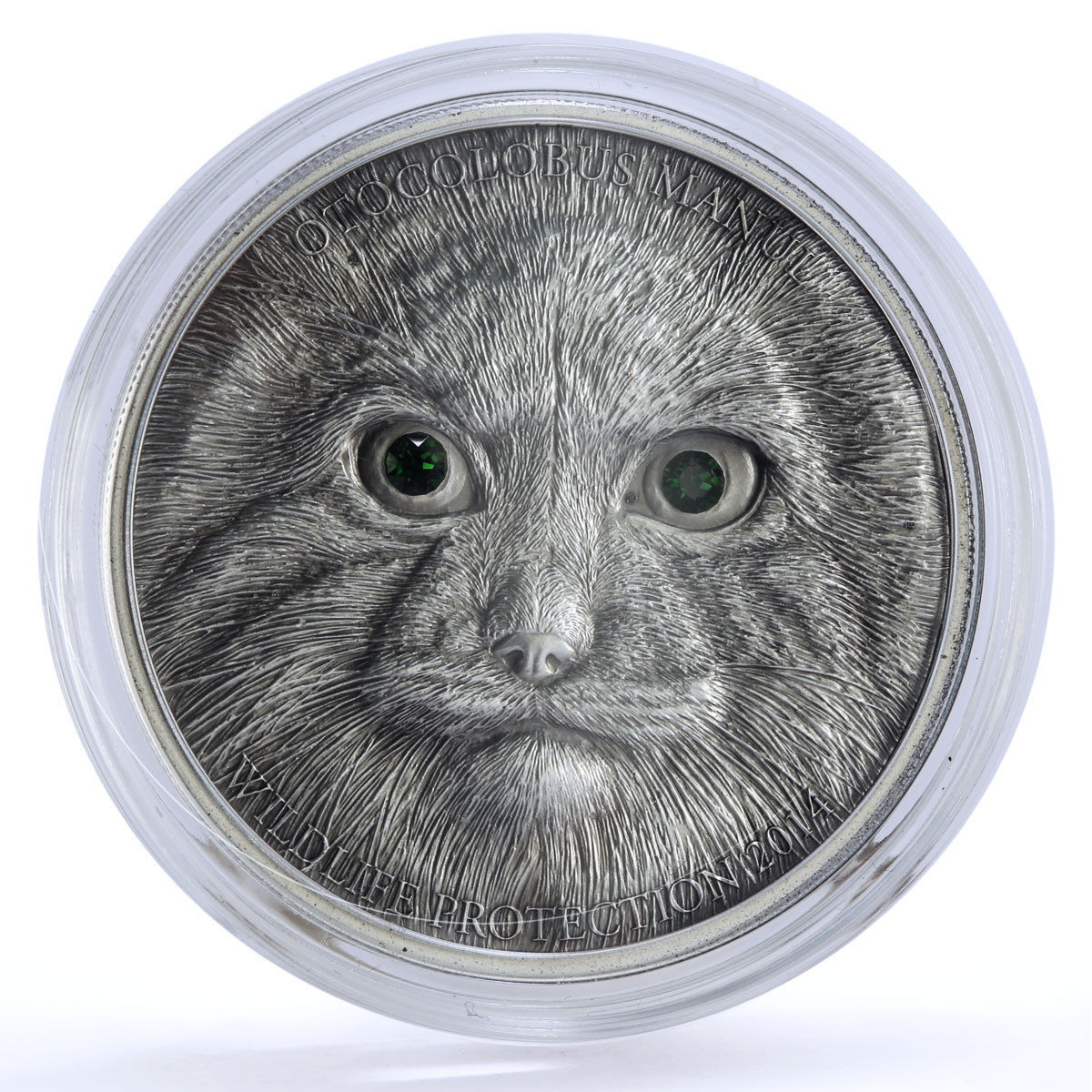 Mongolia 500 togrog Endangered Wildlife Steppe Manul Cat Fauna silver coin 2014