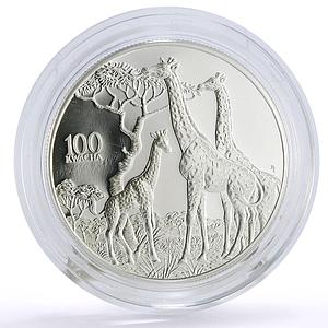 Zambia 100 kwacha Conservation Wildlife Giraffe Fauna proof silver coin 1998