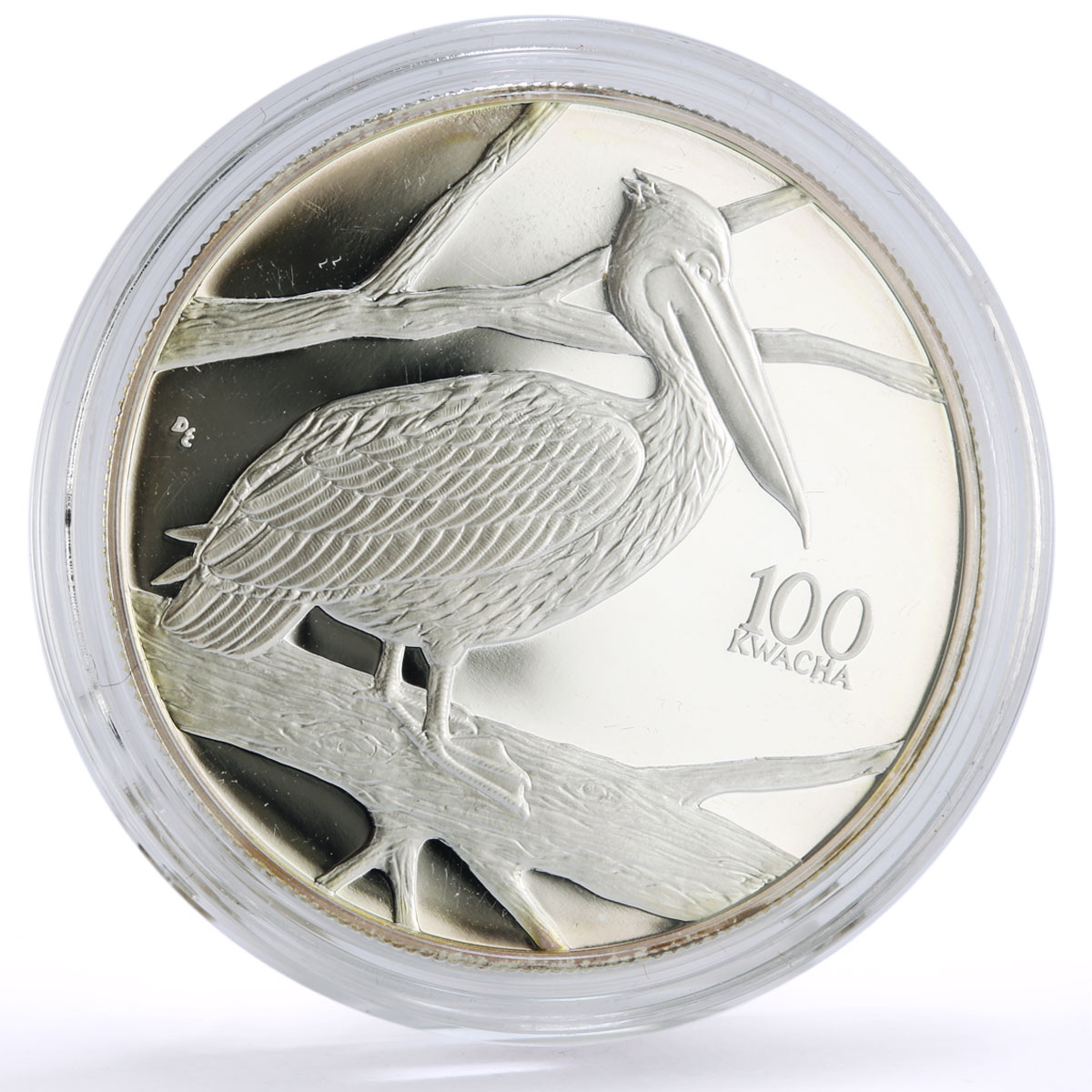 Zambia 100 kwacha Conservation Wildlife Pelican Bird Fauna silver coin 1998