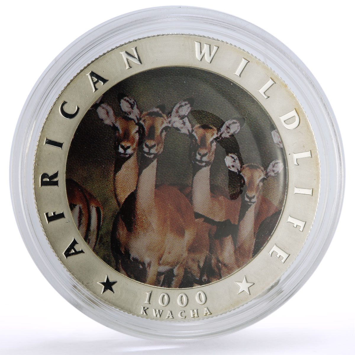 Zambia 1000 kwacha Conservation Wildlife Okapi Johnson Fauna silver coin 2000