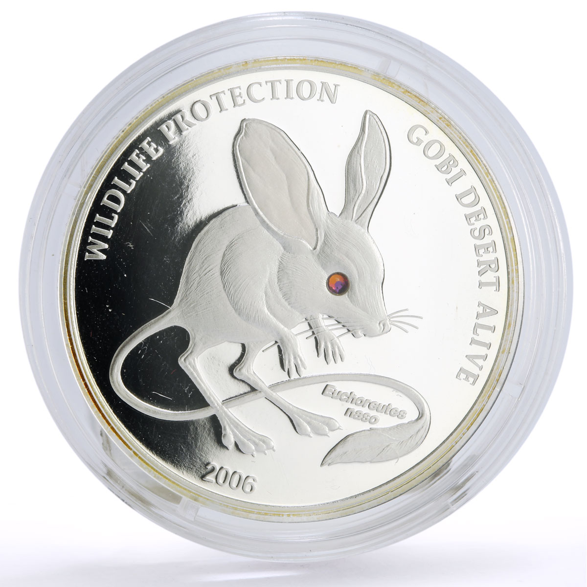 Mongolia 500 togrog Conservation Wildlife Jerboa Fauna proof silver coin 2006