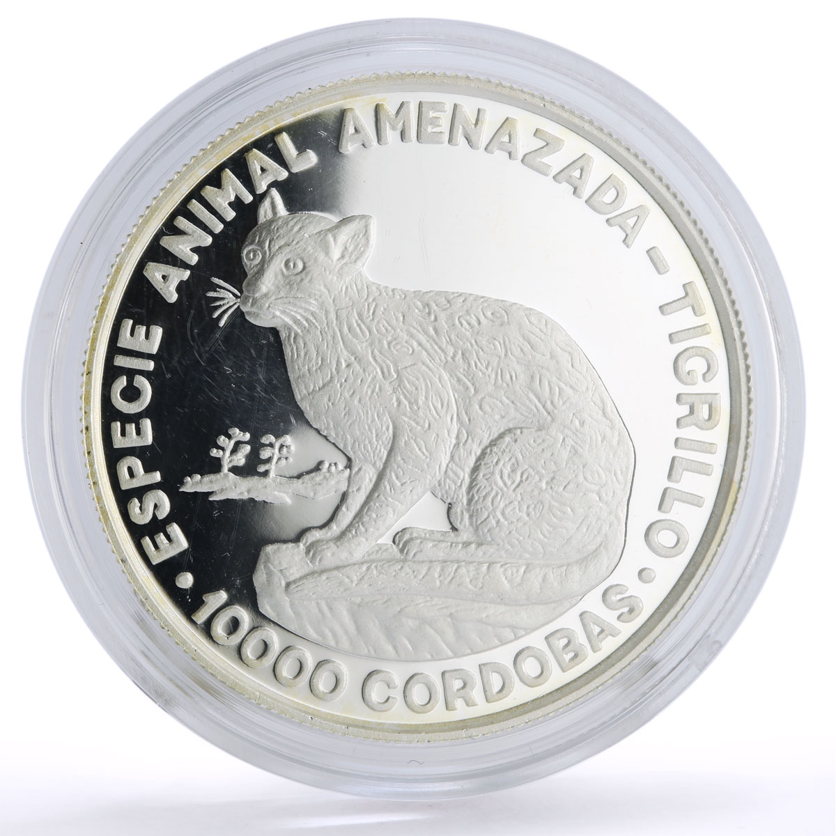 Nicaragua 10000 cordobas Conservation Wildlife Ocelot Cat Fauna silver coin 1990