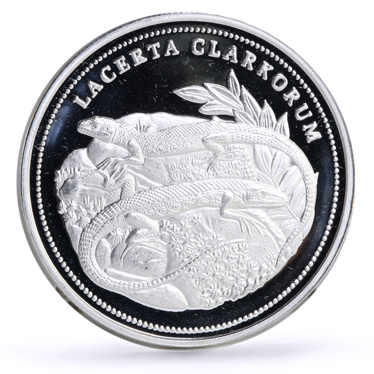 Turkey 4000000 lira Conservation Wildlife Lizard Fauna proof silver coin 1999