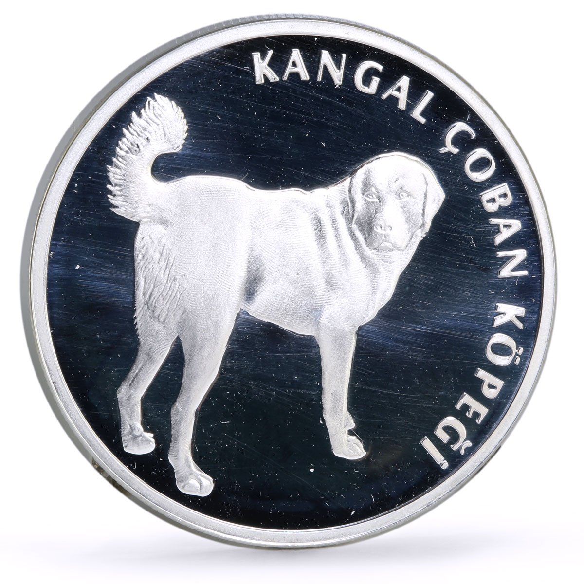 Turkey 20 lira Conservation Wildlife Kangal Dog Fauna proof silver coin 2005