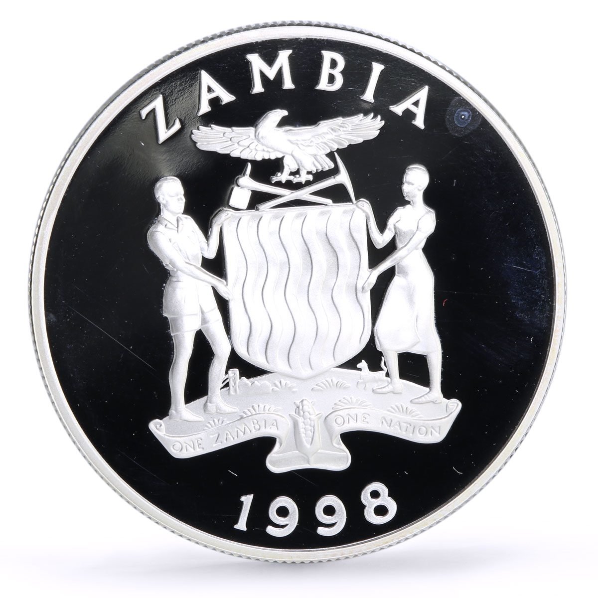 Zambia 100 kwacha Conservation Wildlife Flamingo Bird Fauna silver coin 1998