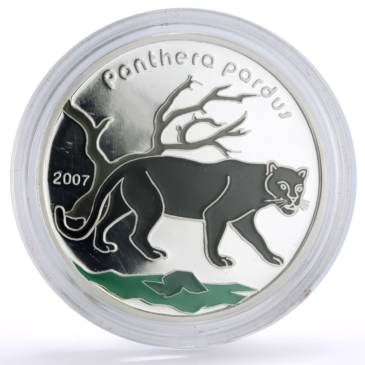 Ivory Coast 1000 francs Conservation Wildlife Panther Cat Fauna silver coin 2007