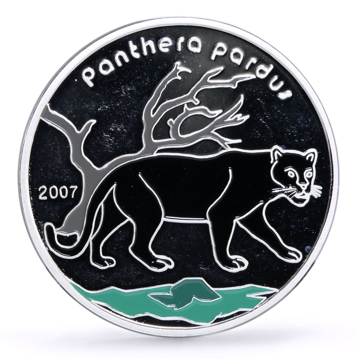 Ivory Coast 1000 francs Conservation Wildlife Panther Cat Fauna silver coin 2007