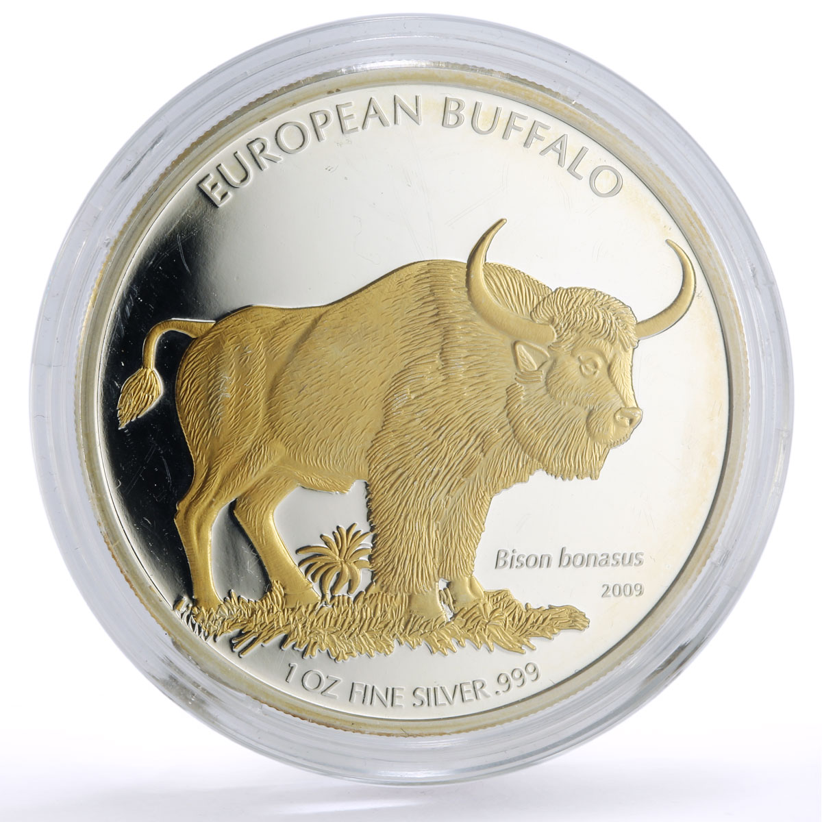 Cook Islands 5 dollars Conservation Wildlife Buffalo Bull Fauna silver coin 2009