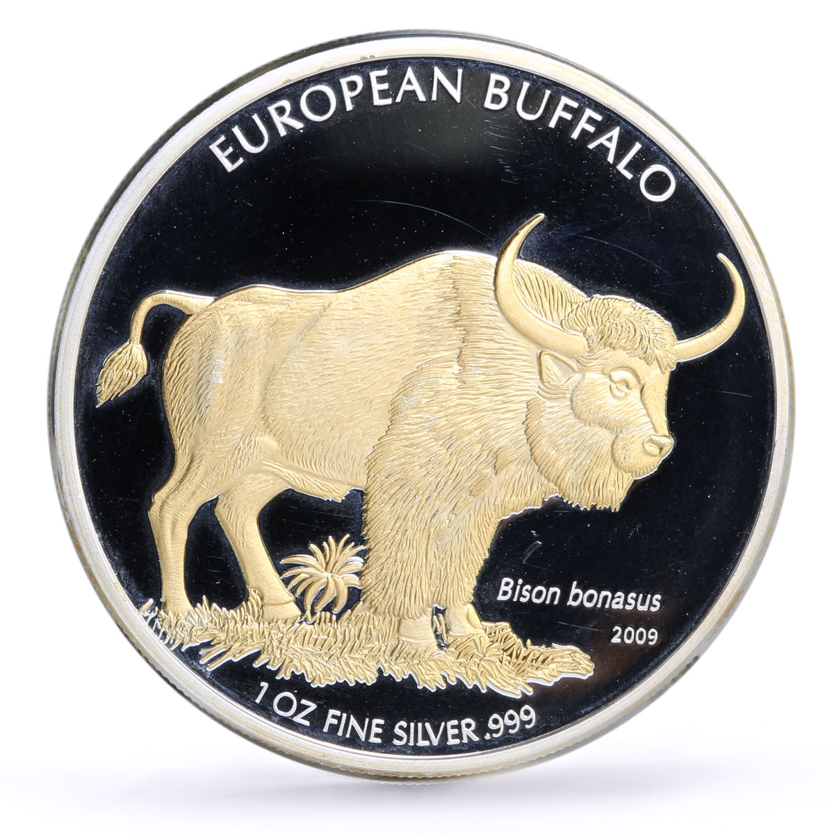 Cook Islands 5 dollars Conservation Wildlife Buffalo Bull Fauna silver coin 2009