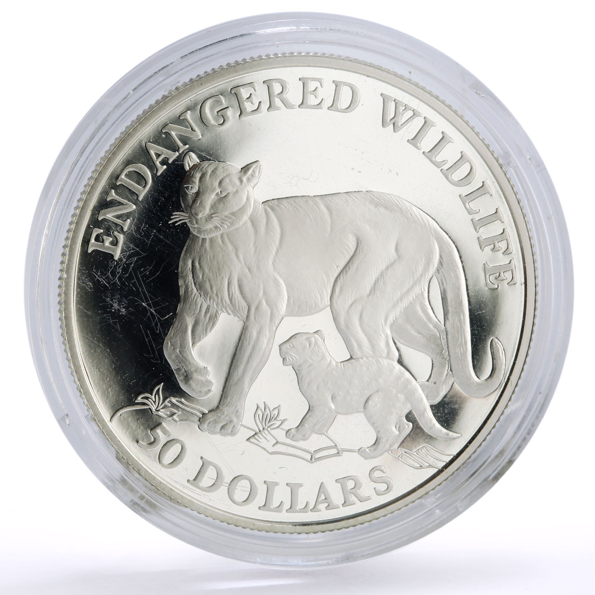 Cook Islands 50 dollars Conservation Wildlife Cougar Cat Fauna silver coin 1991