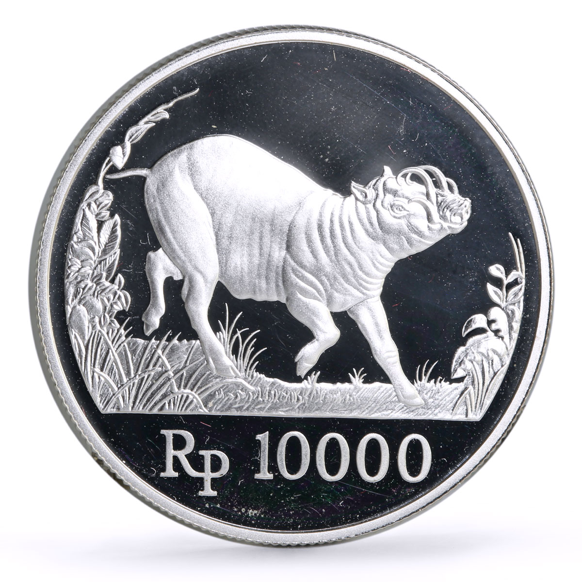 Indonesia 10000 rupiah Conservation Wildlife Pig Fauna proof silver coin 1987