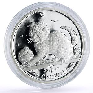 Isle of Man 1 crown Home Pets Scottish Fold Cat Animals proof silver coin 2000