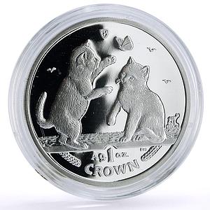 Isle of Man 1 crown Home Pets Tonkinese Cat Kitten Animals proof Ag coin 2004