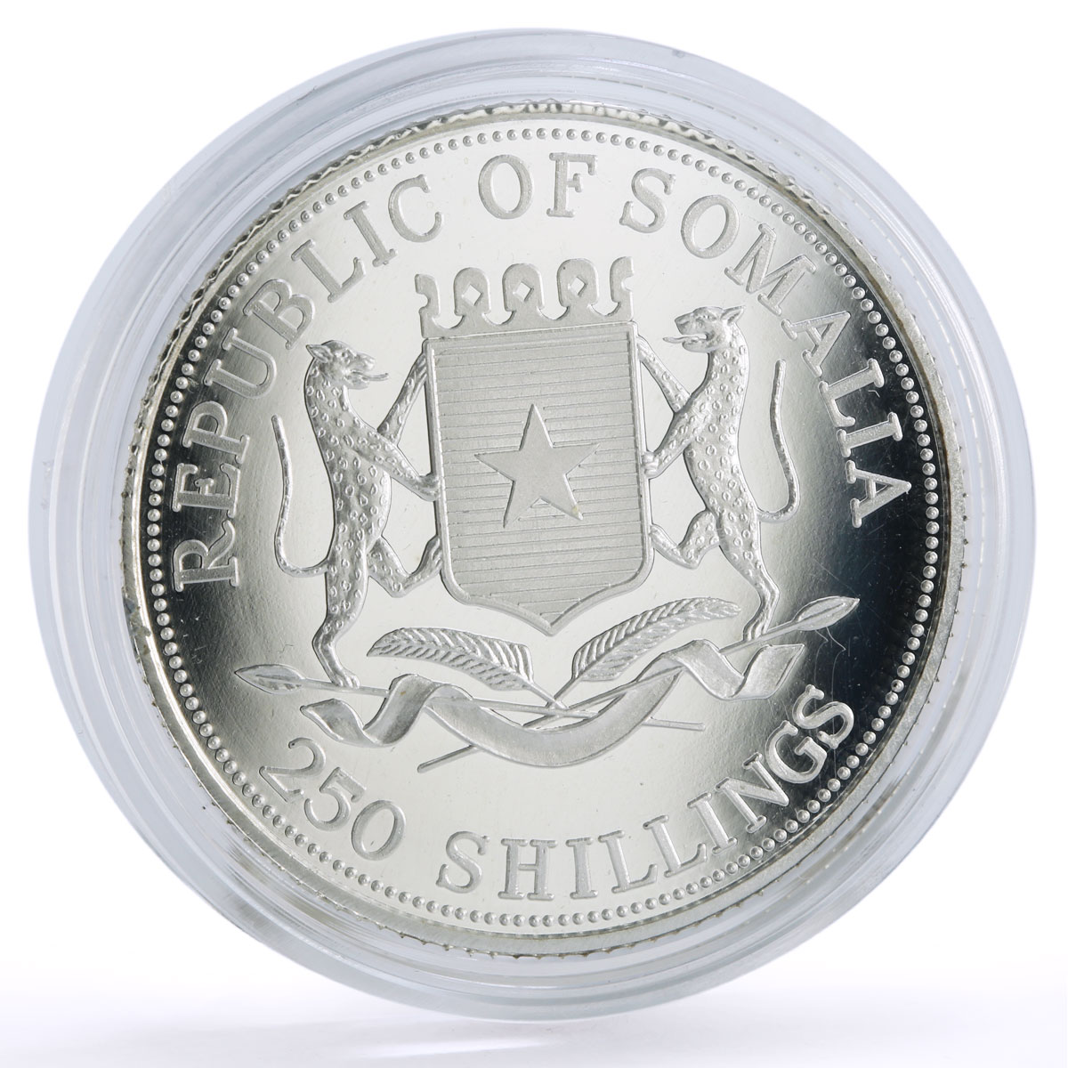 Somalia 250 shillings Conservation Wildlife Hippopotamus Fauna silver coin 1998