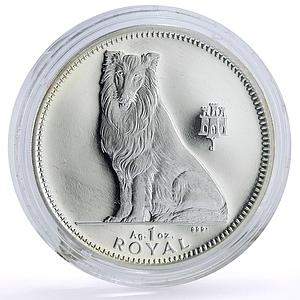 Gibraltar 1 crown Home Pets Collie Dog Animals proof silver coin 1995