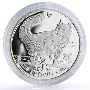 Isle of Man 1 crown Home Pets Norwegian Forest Cat Animals proof Ag coin 1991