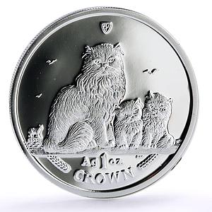 Isle of Man 1 crown Home Pets Himalayan Cat Kitten Animals proof Ag coin 2005