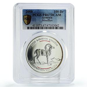 Armenia 100 dram Conservation Red Book Moufflon Fauna PR67 PCGS silver coin 2008