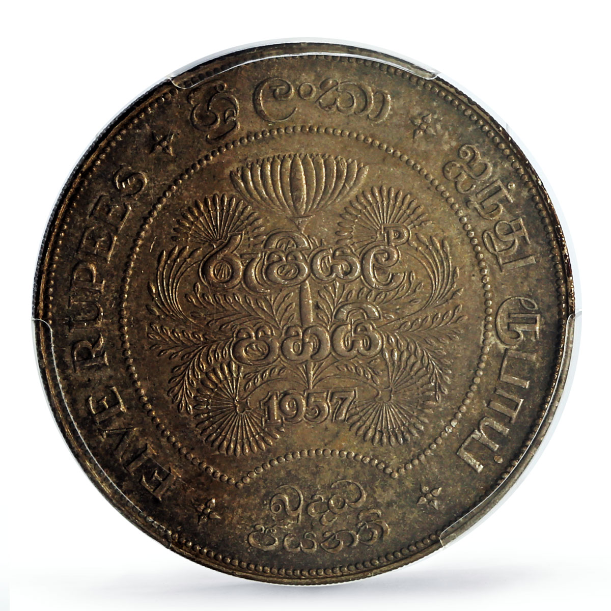 Sri Lanka Ceylon 5 rupees 2500 Years of Buddhism Animals MS63 PCGS Ag coin 1957
