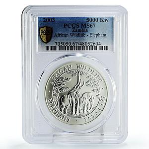 Zambia 5000 kwacha African Wildlife Elephants Fauna MS67 PCGS silver coin 2003