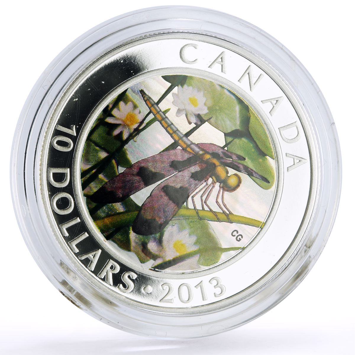 Canada 10 dollars Conservation Wildlife Skimmer Fauna colored silver coin 2013