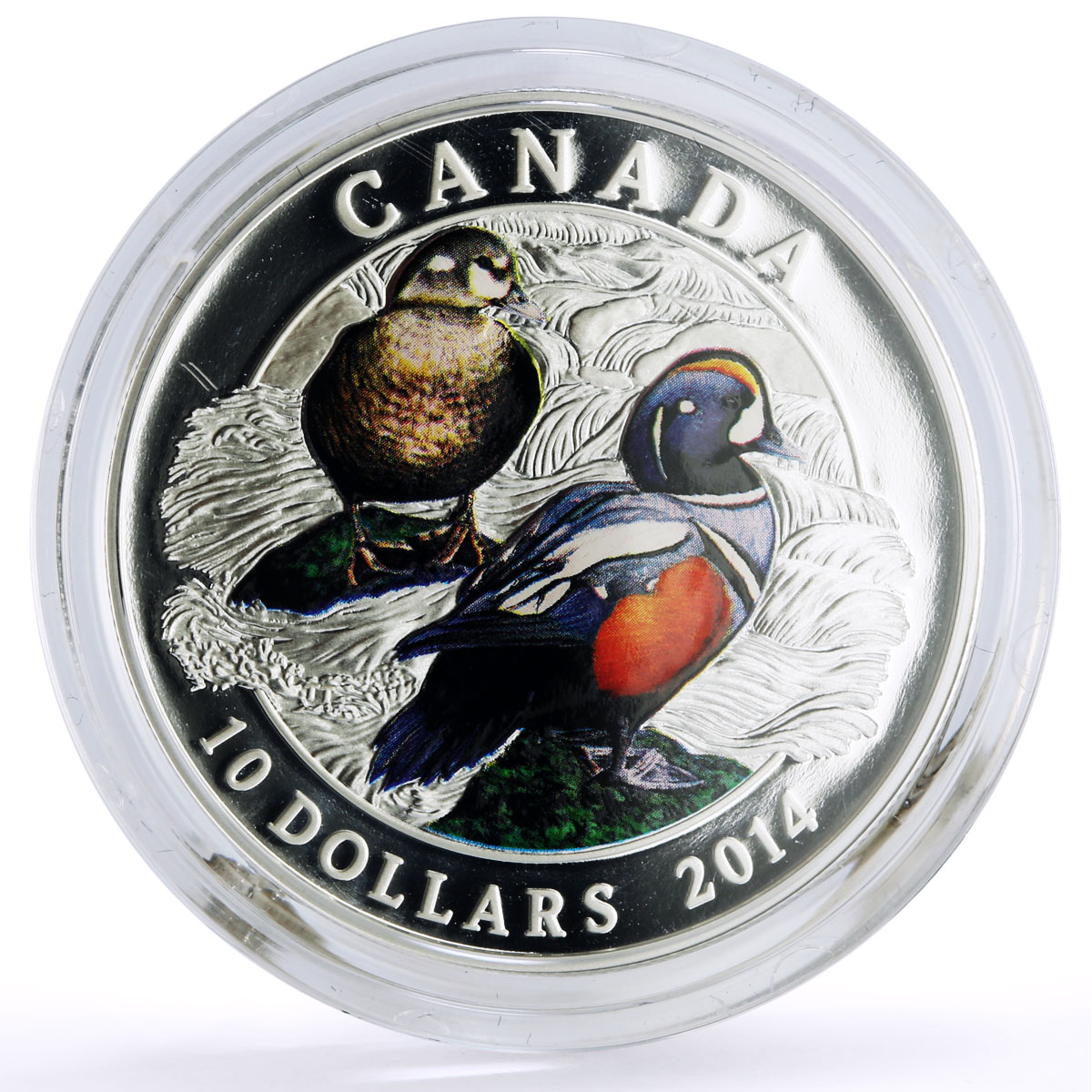 Canada 10 dollars Conservation Wildlife Harlequin Duck Bird Fauna Ag coin 2014