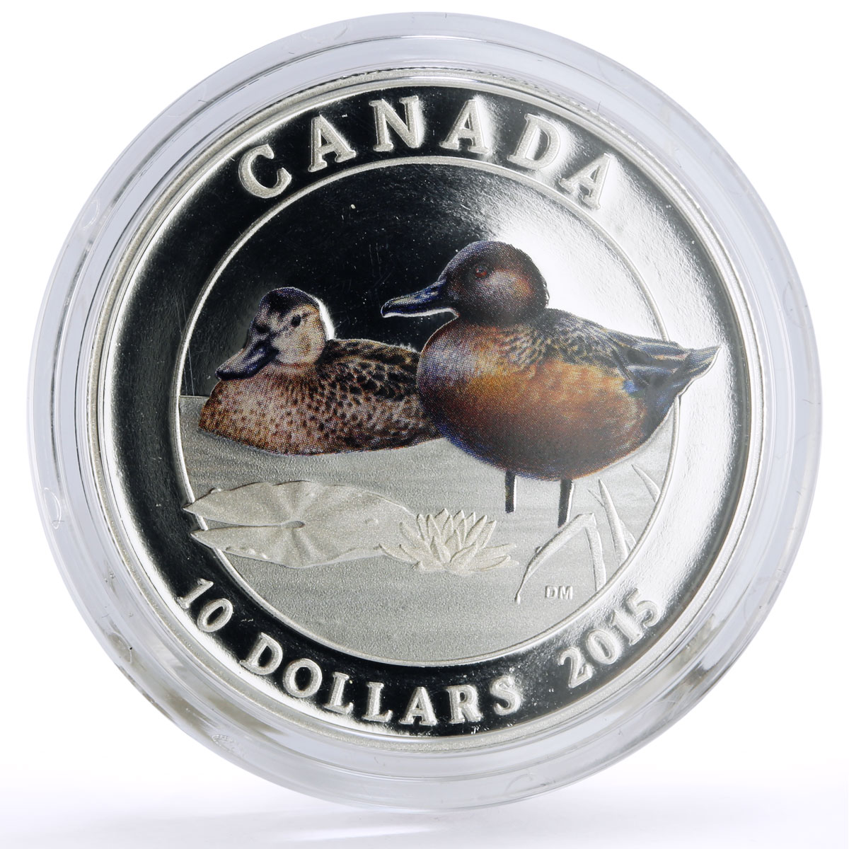 Canada 10 dollars Conservation Wildlife Cinnamon Duck Bird Fauna Ag coin 2015