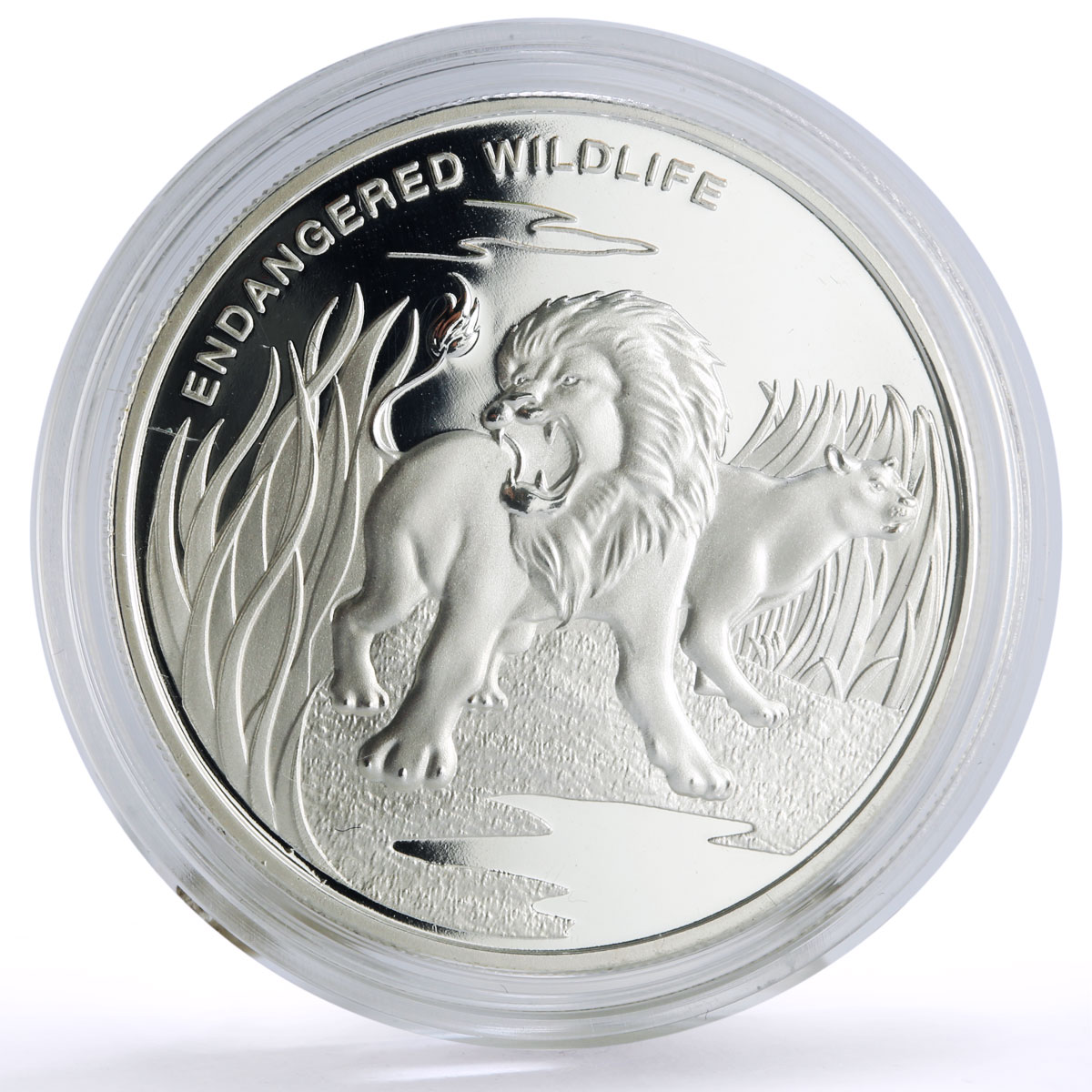 Congo 10 francs Conservation Wildlife Lion Tiger Fauna proof silver coin 2007