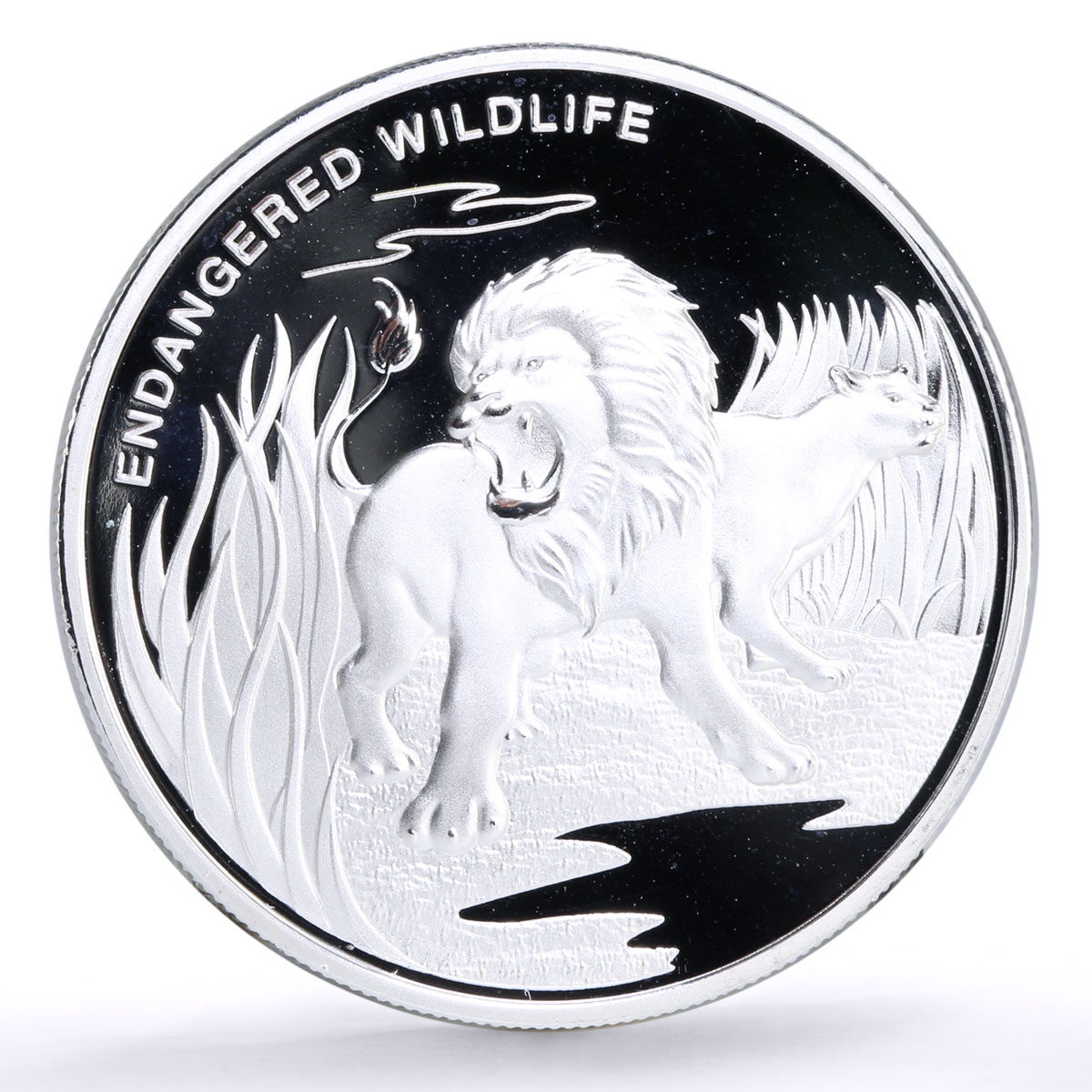 Congo 10 francs Conservation Wildlife Lion Tiger Fauna proof silver coin 2007