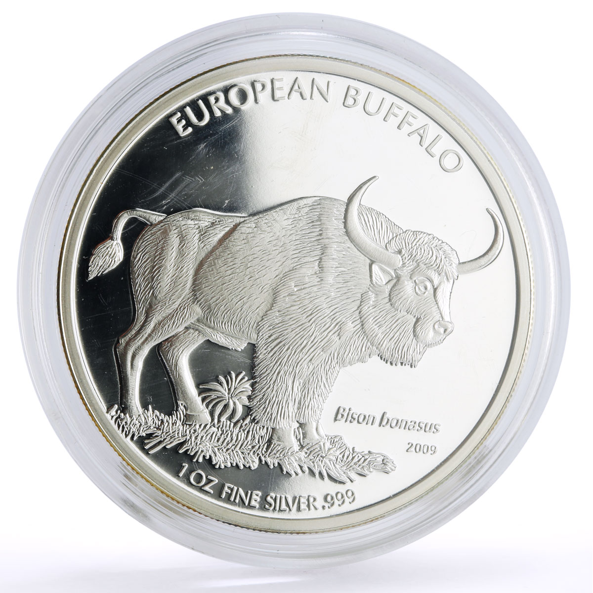 Cook Islands 5 dollars Conservation Wildlife Buffalo Bull Fauna silver coin 2009