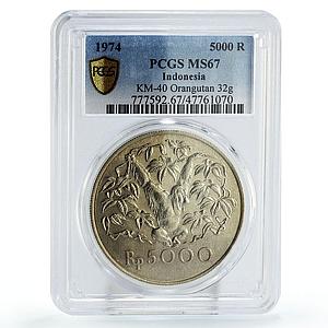 Indonesia 5000 rupiah Conservation Orangutan Monkey Fauna MS67 PCGS Ag coin 1974